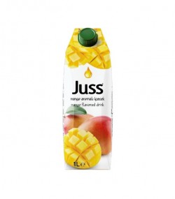 JUSS 250 ML MANGO 1X24